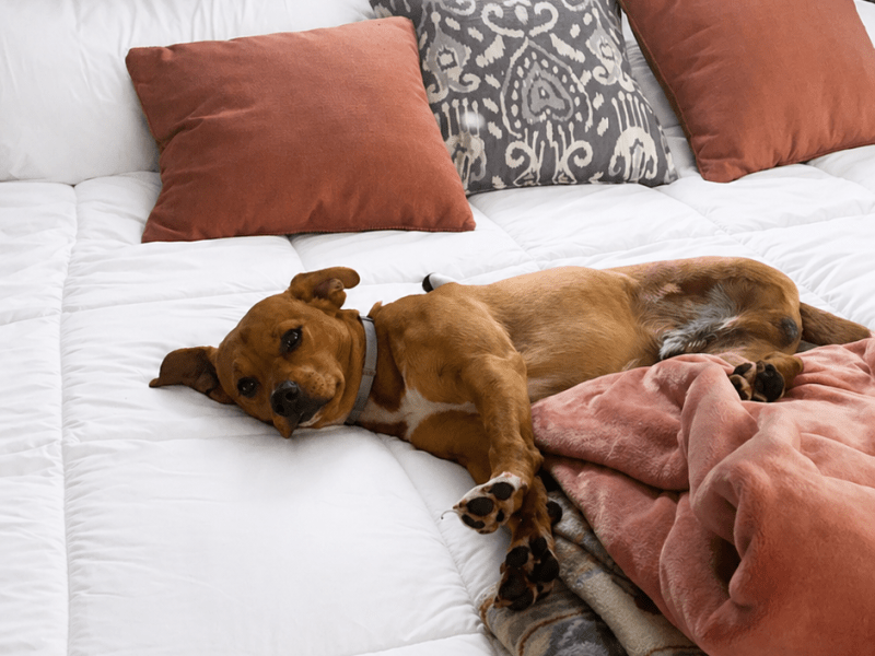 How I Reset My Life in One Day When I’m Feeling&nbsp;Off